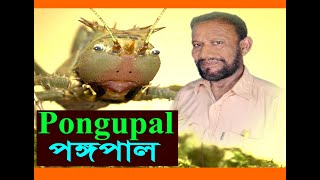 Pongupal Poem|পঙ্গপাল কবিতা | বাংলা নতুন কবিতা | এবার ধেয়ে আসছে ভয়ঙ্কর পঙ্গপাল | বাংলাদেশে পঙ্গপাল
