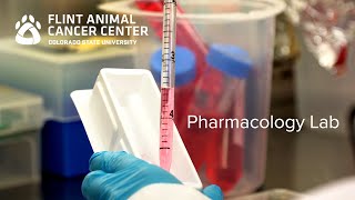 Pharmacology Lab - Dr. Dan Gustafson, Flint Animal Cancer Center