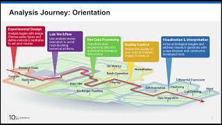 Welcome to Our Hands-On Tour of the Single Cell Analysis Journey