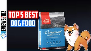 TOP 5 Best Dog Food in 2021