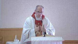 Fr. Steven: "Choosing darkness over light." Homily Monday February 2, 2026