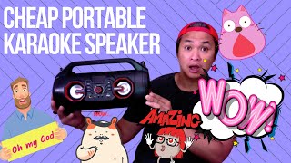 Best Portable Karaoke Bluetooth Speaker | Great Value [2023]