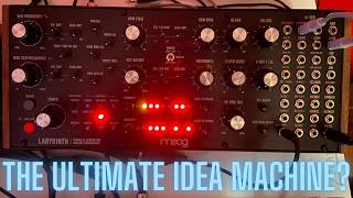 Moog Labyrinth - Why I LOVE it and why it's (maybe) NOT for you