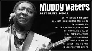 Best Blues Songs Of The Muddy Waters - Muddy Waters Greatest Hits Full Album - Blues Songs Playlist