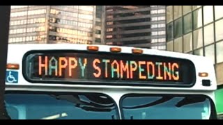 a trip to calgary stampede with my friends