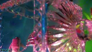 ALIEN WIZARD SCIENCE  014 BETA OPENING PREVIEW -80'S NOSTALGIA-