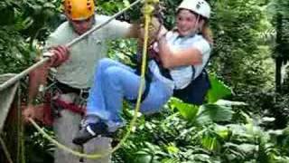 Costa Rican jungle