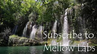 🍃 BEST MELLOW REGGAE MIX #1 - MELLOW MUSIC FOR STUDYING, GAMING, PROGRAMMING, WORKING, OR RELAXING.