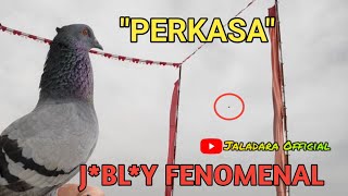 LOMPAT INDAH "PERKASA" J@BL@Y MILIK TEAM MUSTIKA SIDAREJA