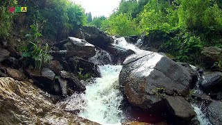 [If You Listen For 5 Minutes] Relax With the Sound of Water, Boost Brain, Stimulate Creativity