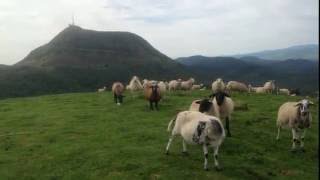 Le Puy de Dôme au fil des saisons. Musique de Carl Nielsen (« Aladdin : Danse des prisonniers »)