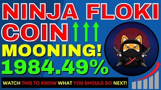 NinjaFloki Coin Mooning 1984.49% | Kuai Token News | PAPPAY | MiniTesla | Grape| Silva |Farm Finance