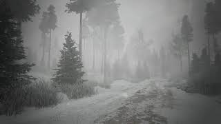 Red Dead Redemption 2│ASMR/Sleep Aid│Blizzard of Blizzards│Howling winds