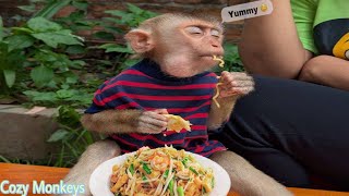 Good morning baby monkey: Bryyan go to buy noodle with mom for breakfast