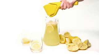 Manual Fruit Juicer
