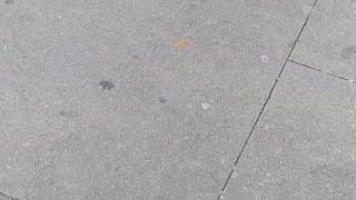 G man Vs Sacarrii Live! In Newark Nj