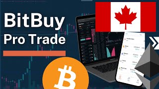 Bitbuy Pro Trade Spotlight - The Crypto Destination of Investors