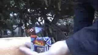 solvents: "no ones got the guts to steer"