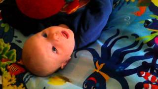 Max in his play gym!