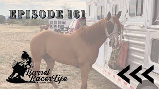 Barrel Racer Life - New Additions to the Farm & Back from Vacay