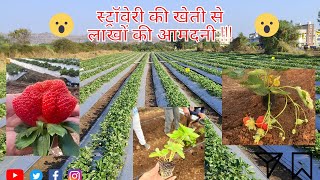 Full Video on Strawberry Farming | स्ट्रॉबेरी की खेती पर पूरा वीडियो