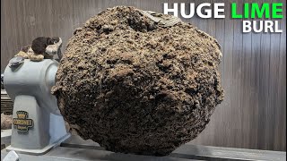 EDGE of DISASTER– Turning a Giant LIME Burl on the lathe