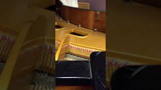 Section 1   Tenor   mm  20 30 Finzi