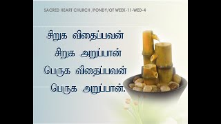 23-02-2023   THURSDAY   MORNING   ANBOLITV   LIVE   MASS