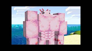 Minecraft Axolotl Spinning to Get Down on it