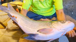 Fastest Big Katla Fish Cutting Skills In Fish Market | Fish Cutting Skills
