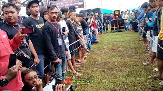 kontes sound miniatur cilik wani ngeyel. juara 1 kelas build up // R.B.P AUDIO