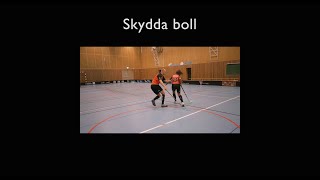 14. Skydda boll. Teknikskola för Innebandy
