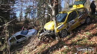 18. Rally Idrija 2025 | Crashes & On the Limit
