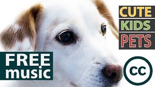 Sweet Ukulele by Chat Blanc | ✔ Free of Charge Royalty Free Music for Videos ✔ Creative Commons