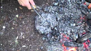 Bushmen Eggs