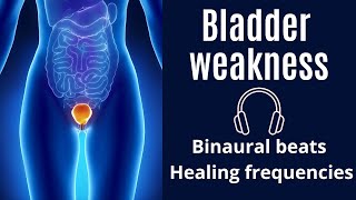 Stop Bladder Leakage in 30 Min | Overactive Bladder Treatment | Rife Frequency for Incontinence