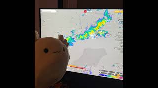 Scientist wooper Live Stream