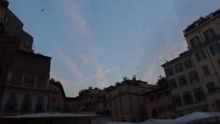 Starlings over Rome