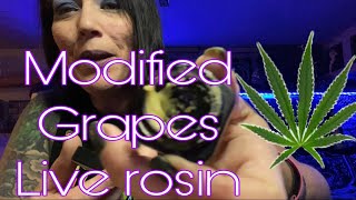Modified grapes live rosin #muv #MedicalMarijuana