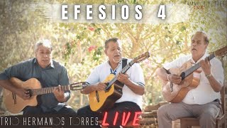 Trio Hermanos Torres - Efesios 4 (Live)