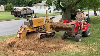 Pin Oak tree removal and stump grinding by All Season Tree, LLC.