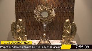 Priests for Life Live Stream