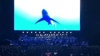 Blue Planet II - Live In Concert (Main Theme)