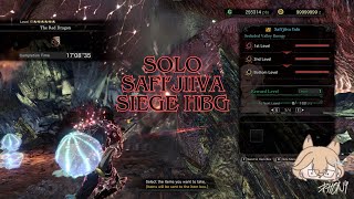 Monster Hunter World Iceborne | Safi Jiiva Siege Solo Full Energy HBG Run and Tutorial | Aveech
