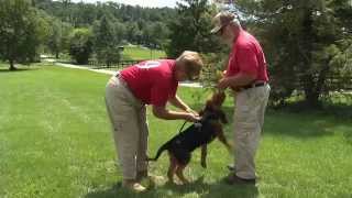 Red Rose K-9 Search and Rescue's Newest Member