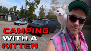First Time Camping with a Kitten in my Converted Cargo Van