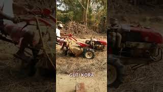 Paddy threashing with power tiller | Guti kora