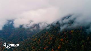 Iran Forests - Iran with arka
