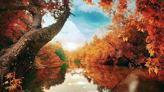 Chopin - Spring Waltz  ( Mariage d'Amour )
