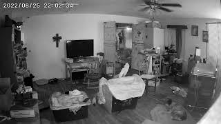 Shenanigans with NayNay